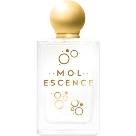 Mol Escense by Schuback » Reviews & Perfume Facts.